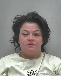 Mugshot of CASSANDRA JENNIFER CASTRO booked in Lake County, Indiana on July 2, 2026