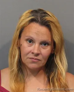 Mugshot of Veronica Ann Kovacik booked in Lake County, Indiana on August 20, 2026