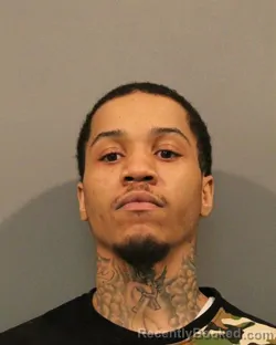 Mugshot of DAVID ALEXANDER JOHNSON