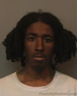 Mugshot of LEONDRE JULIAN LEWIS