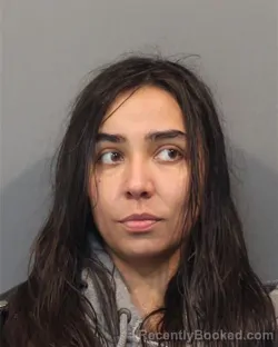 Mugshot of SERENA ALISE HAM booked in Lake County, Indiana on April 24, 2026