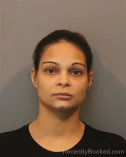 Mugshot of HEATHER MARIE LEE booked in Lake County, Indiana on June 28, 2026