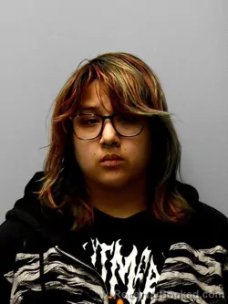 Mugshot of ROSE MARIE JOHNSON