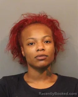 Mugshot of CYDNEY ANISSA WILLIAMS booked in Lake County, Indiana on July 2, 2026