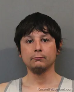 Mugshot of ANTHONY LUIS ZERVOS