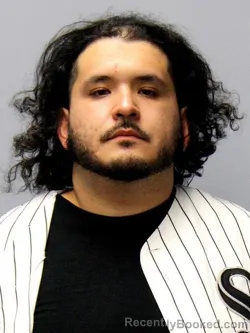 Mugshot of MARTIN JOHANAN MIRELES