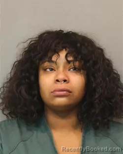Mugshot of ASHLEY MELISSA GIBSON
