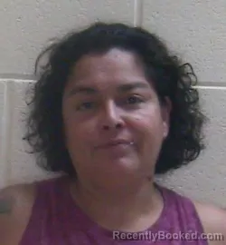 Mugshot of Michelle Velez booked in Lake County, Indiana on August 21, 2026