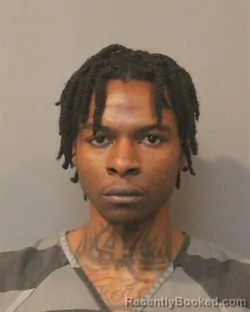 Mugshot of ANDRE LAMON ELLIS