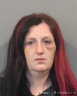 Mugshot of NICOLE MARIE BOWERSOX booked in Lake County, Indiana on July 14, 2026