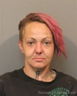 Mugshot of DANIELLE RACHEL HORVATH