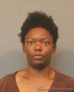Mugshot of VICTORIA SANDRE BOLDEN booked in Lake County, Indiana on April 24, 2026