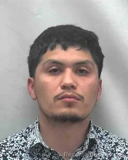 Mugshot of RICARDO ANDRADE