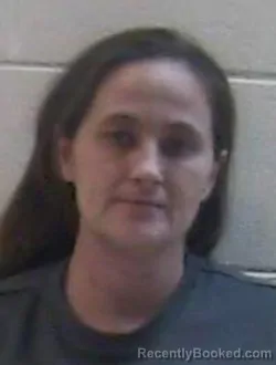 Mugshot of MEGAN LINDSEY PHILLIPS