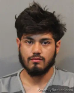 Mugshot of JORDAN LUIS SENA