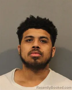 Mugshot of JAMAILLE REA SHAW