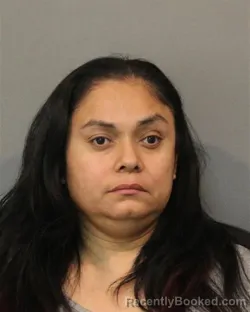 Mugshot of ELIZABET SANCHEZ-HERNANDEZ booked in Lake County, Indiana on July 1, 2026