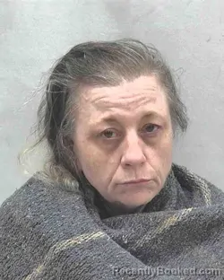 Mugshot of SANDRA LEE GUTIERREZ booked in Lake County, Indiana on April 25, 2026