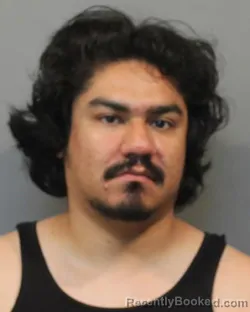 Mugshot of MARTIN ACEVES RODRIGUEZ