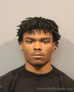 Mugshot of JESSE ALLEN WOODS