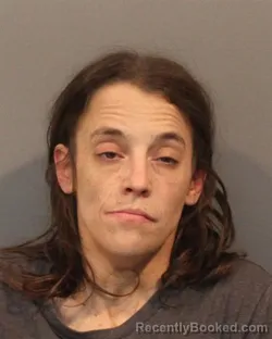 Mugshot of CHRISTINE NICOLE SCHMIDT booked in Lake County, Indiana on June 18, 2026