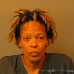 Mugshot of TAMARA DENISE BOWLES
