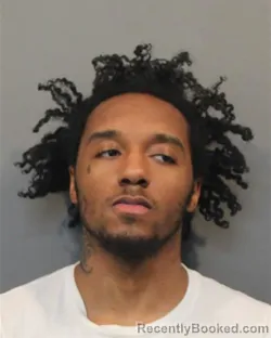 Mugshot of TERRION WOODS