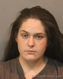 Mugshot of AMANDA ROSE WILK