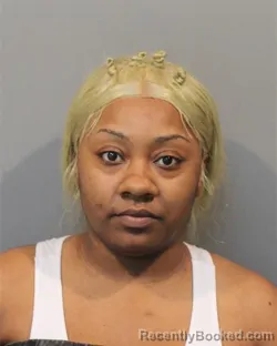 Mugshot of ETOYA MARIE PATTERSON PLEAS booked in Lake County, Indiana on April 24, 2026