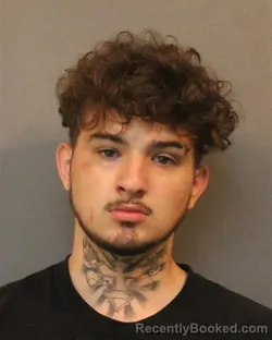 Mugshot of GAGE ISAAC ARMS
