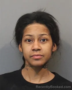 Mugshot of BRITTANY SADE STEVENS