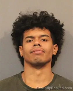 Booking photo from Lake County, Indiana