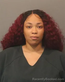 Mugshot of ELIZABETH LAJARICA GROCE