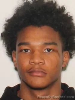 Mugshot of DAMIEN LAMAR CAST