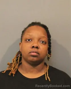 Mugshot of YASMINE JUANITA WILLIAMS booked in Lake County, Indiana on April 20, 2026