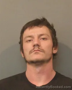 Mugshot of WILLIAM MICHAEL NELSON