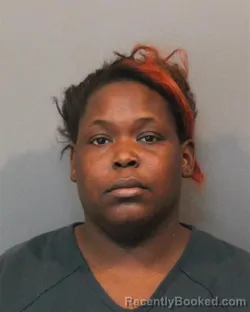 Mugshot of CHANELLE DEBORAH SANDERS