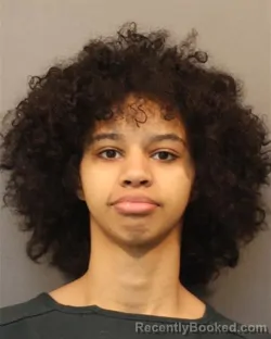 Mugshot of SHIANAH YVETTE MARIE RAINEY