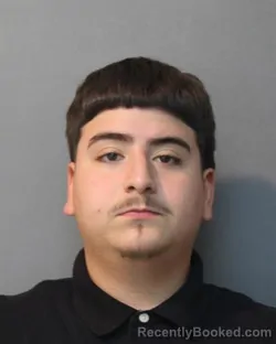 Mugshot of FABIAN JAVIER MARTINEZ