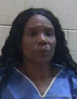 Mugshot of DEMITTA MICHELLE COLLINS