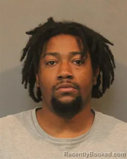 Mugshot of CAMREN JOCELLOUS BROWN booked in Lake County, Indiana on July 4, 2026