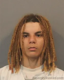 Booking photo from Lake County, Indiana