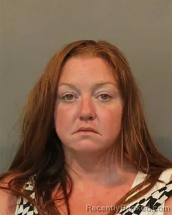 Mugshot of MEGAN MARIE HOGAN booked in Lake County, Indiana on July 13, 2026