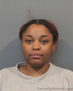 Mugshot of TANIYA ASHANTI DINKINS booked in Lake County, Indiana on July 5, 2026
