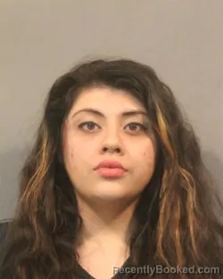 Mugshot of JESSENIA ELIZABETH JERONIMO booked in Lake County, Indiana on April 17, 2026