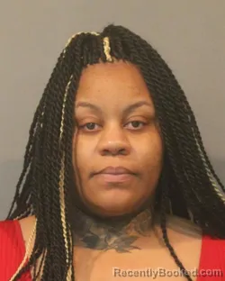 Mugshot of TIERRA LASHAY GOSHA booked in Lake County, Indiana on July 1, 2026
