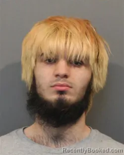 Mugshot of DEMETRI YORGOS THEODOROU