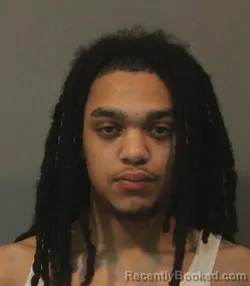 Mugshot of JESSE STEPHEN ECHOLS