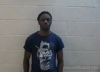 Mugshot of JALMAND JAHELI NEWSON-WHITE