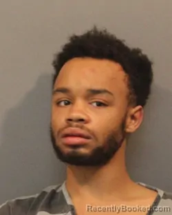 Mugshot of ELLEON NOEL HARRIS